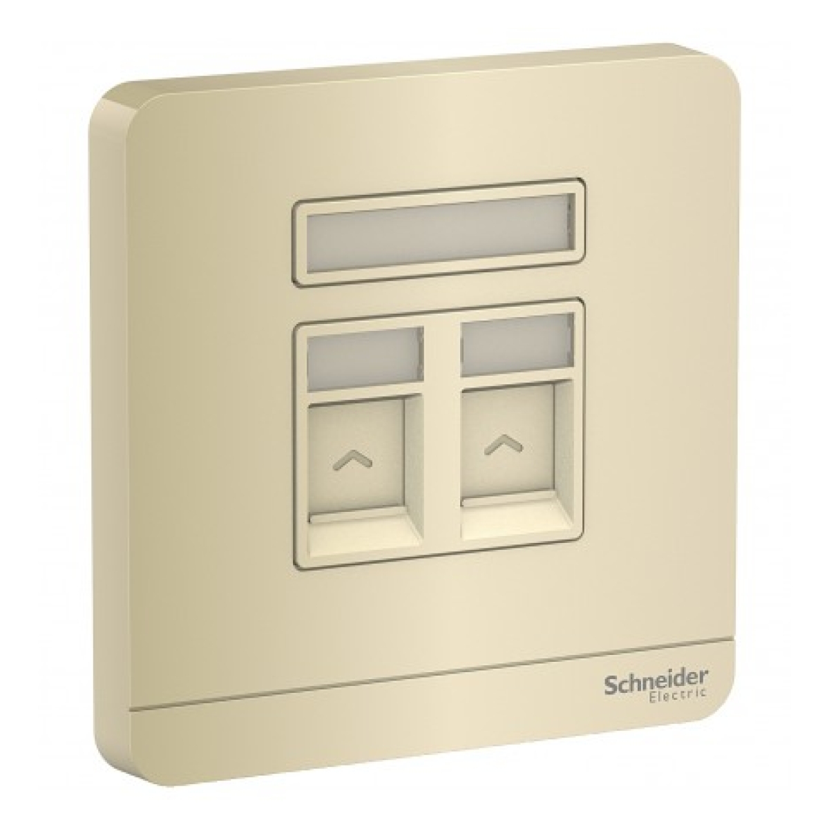 Schneider Electric 施耐德電氣 AvatarOn 兩位RJ45八線5e類數據插座，Keystone面板備防塵活門 (沉醉金) (E8332RJS5_WG_C5)